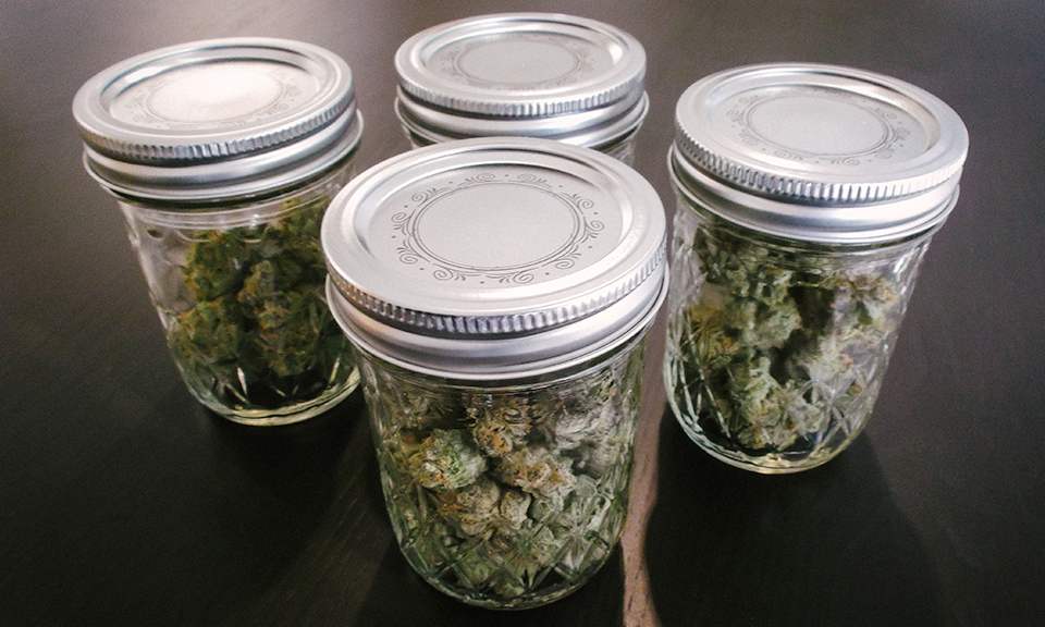 weed being stored in air tight jars